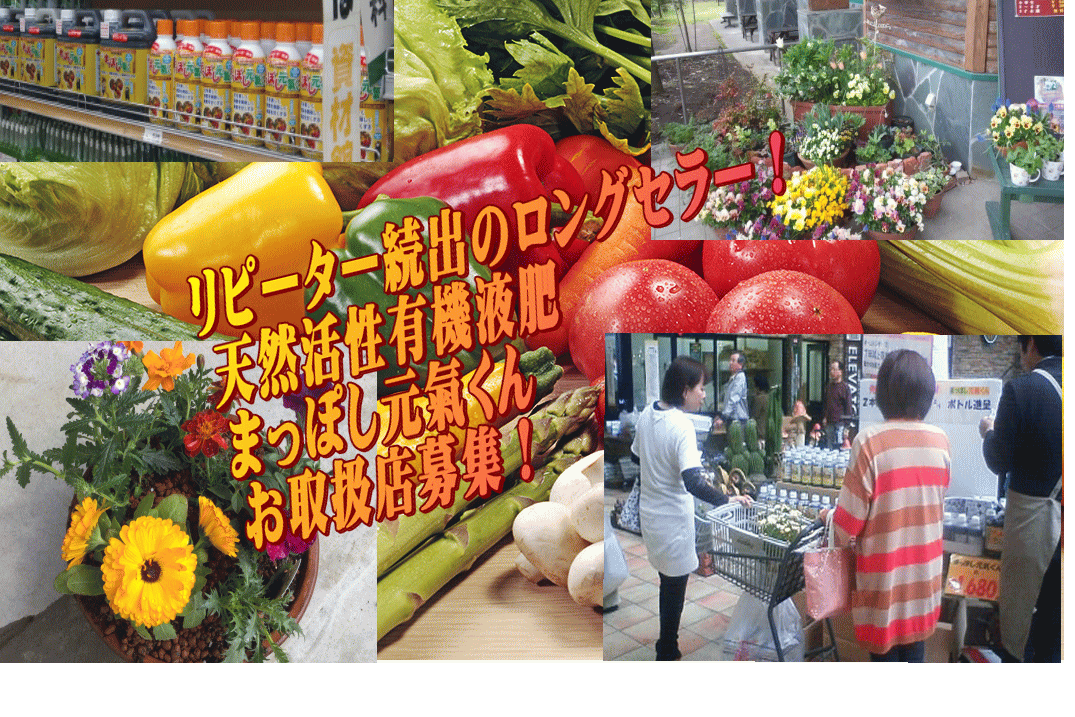 まっぽし元気くんお取扱店募集